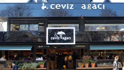 Ceviz Ağacı