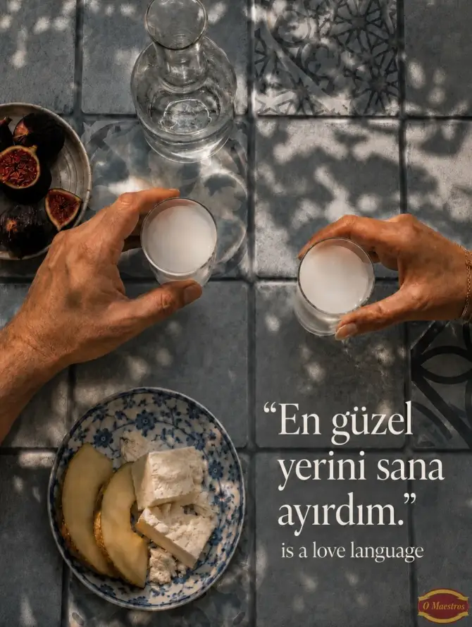 O Maestros Meyhanesi - İstanbul Mekan Rehberi