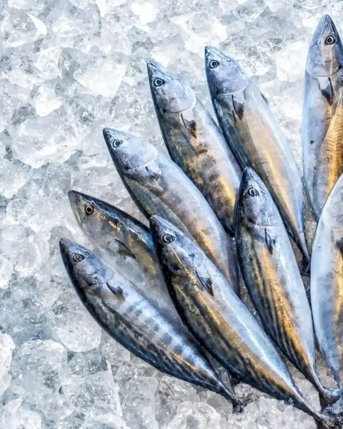 Park Fora Restaurant - İstanbul Mekan Rehberi